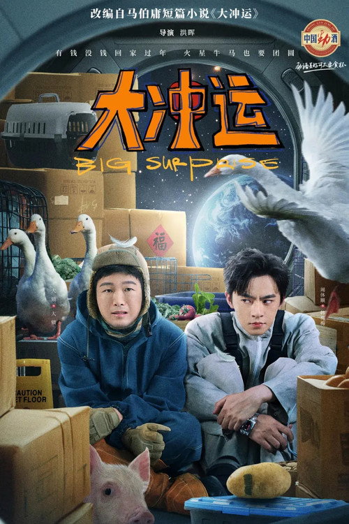 大冲运 封面