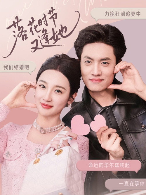 落花时节又逢她 封面