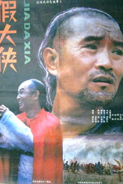 假大侠 封面
