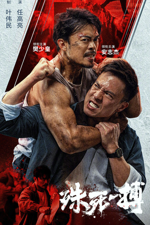 殊死一搏 封面