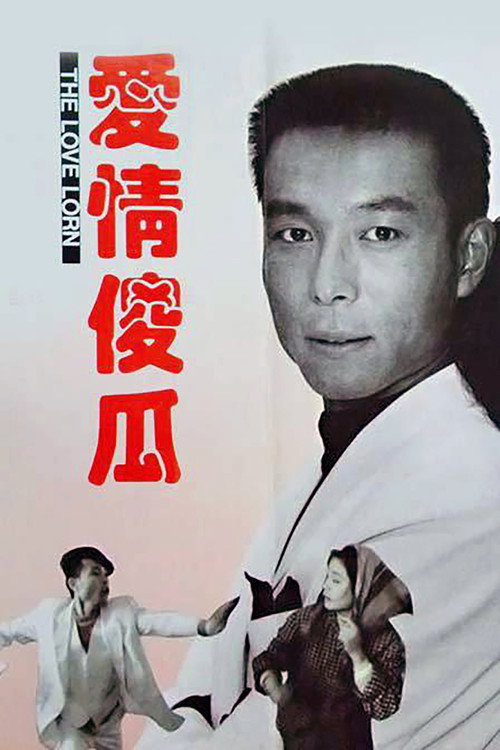 爱情傻瓜 封面