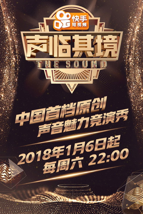 声临其境 封面