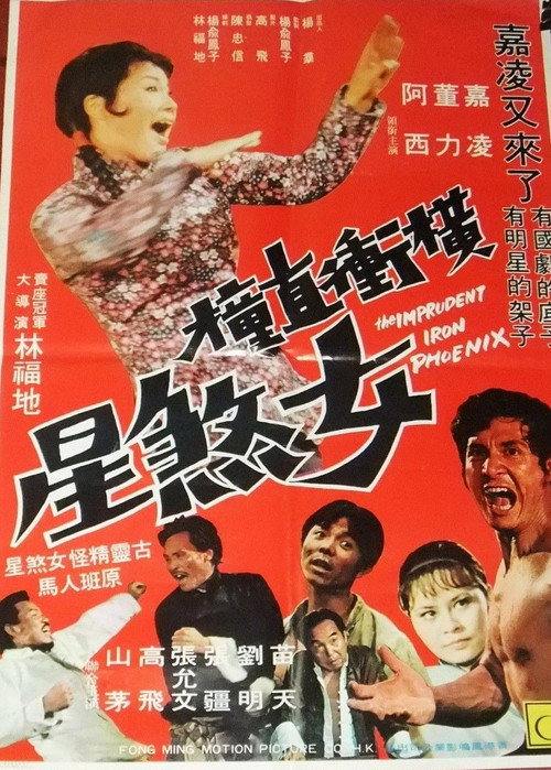 横冲直撞女煞星 封面