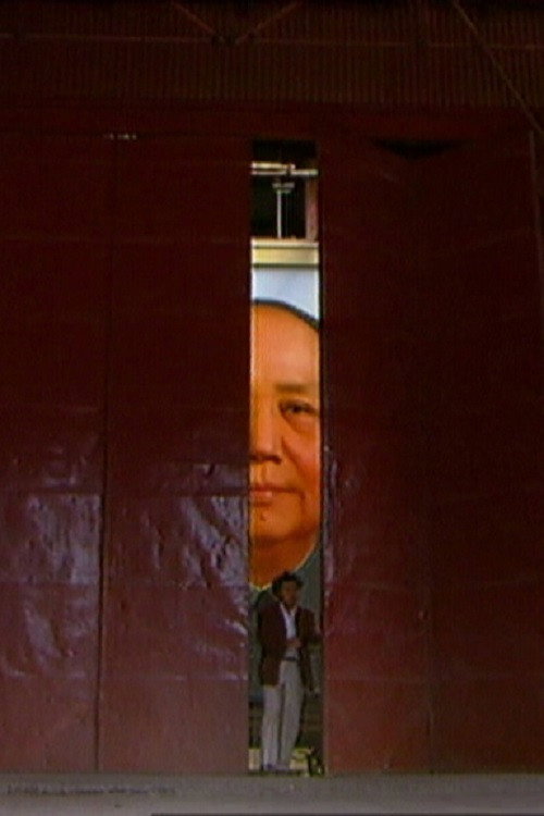 Mao Zedong 1993 封面