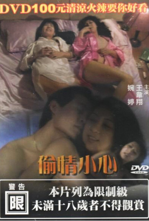 偷情小心 封面