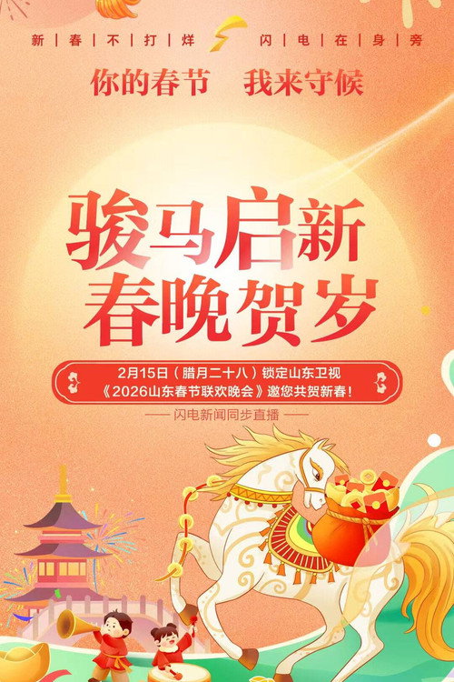 山东卫视春节联欢晚会 封面