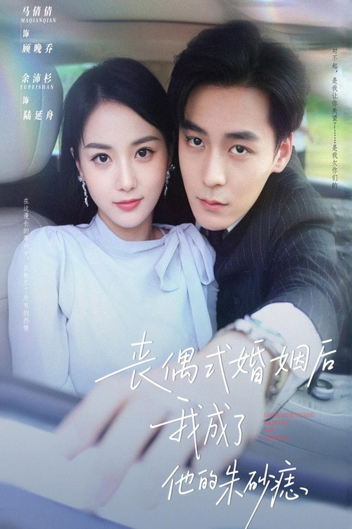 丧偶式婚姻后我成了他的朱砂痣 封面