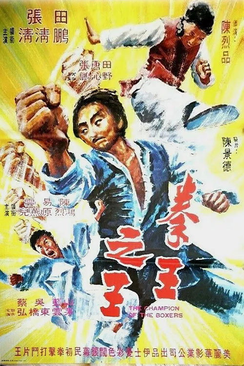拳王之王 封面