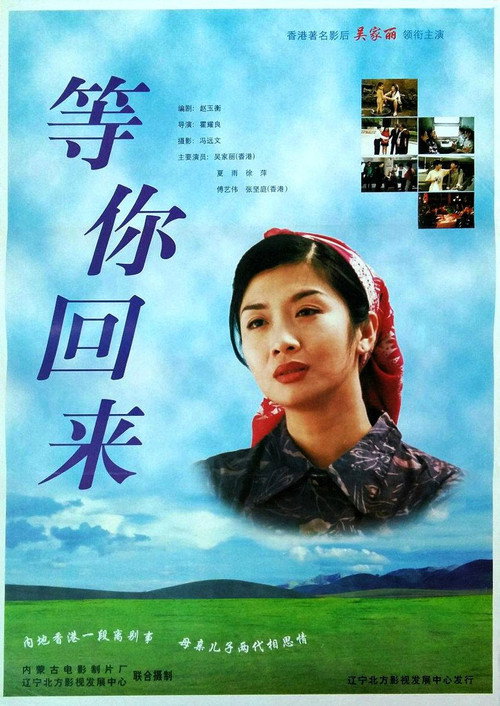 等你回来 封面