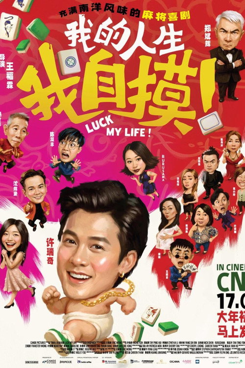 我的人生,我自摸 封面