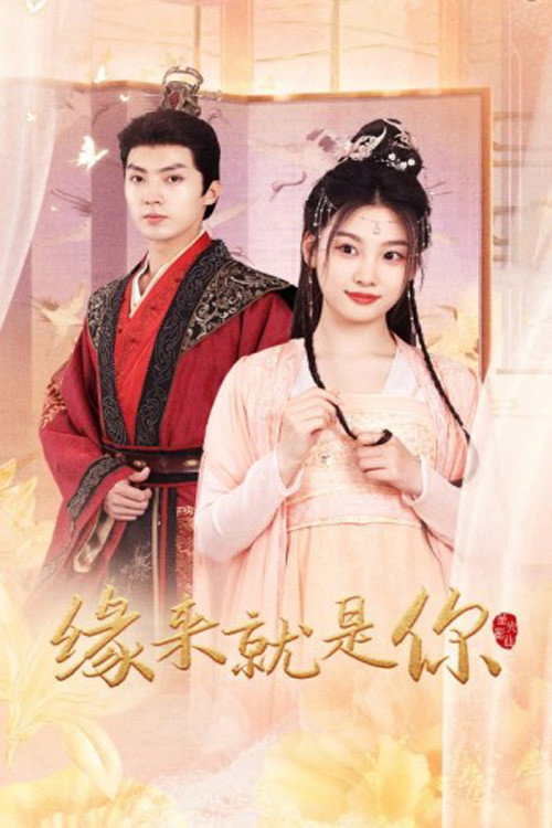 缘来就是你 封面