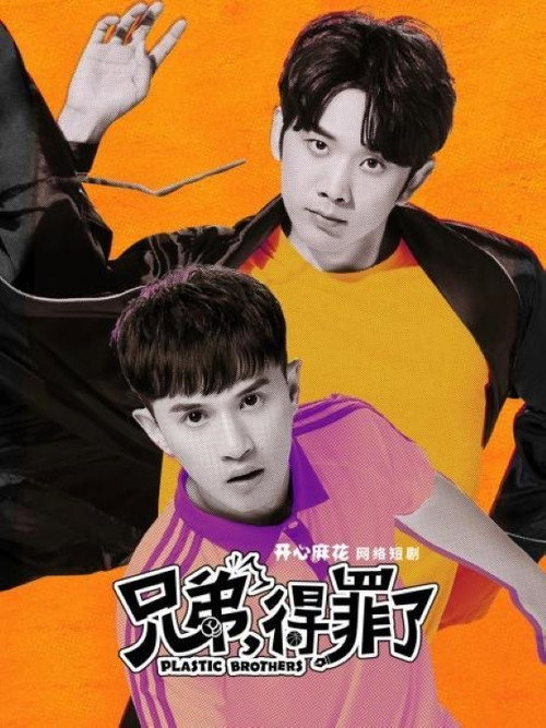 兄弟，得罪了 封面