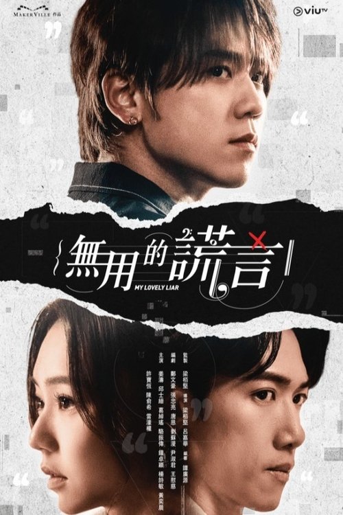无用的谎言 封面
