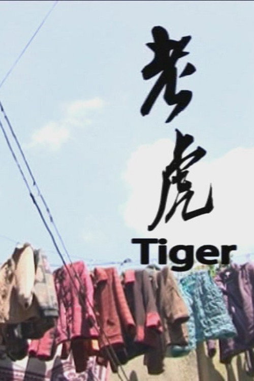 老虎 封面