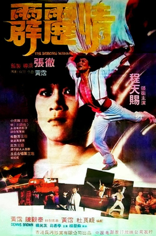霹雳情 封面
