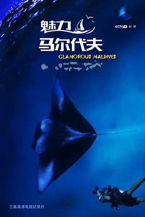 魅力马尔代夫 封面