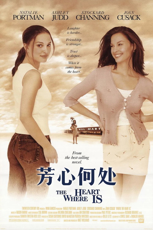 芳心何处 封面