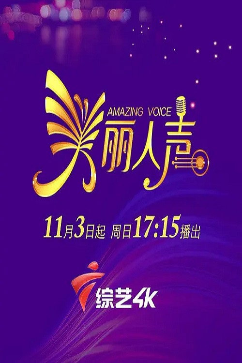 美丽人声 封面