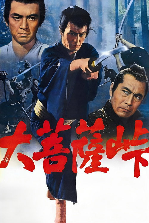 大菩萨岭 封面