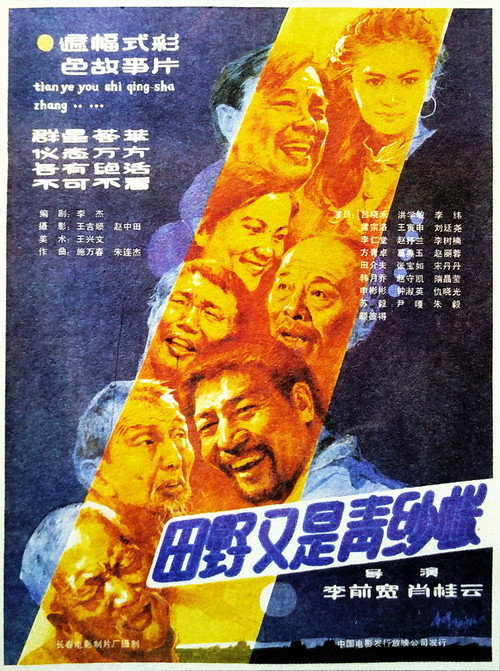 田野又是青纱帐 封面