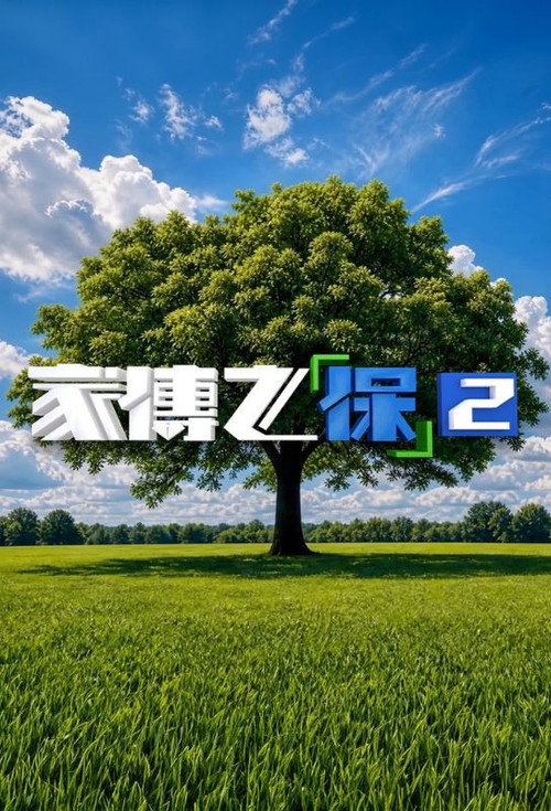 家传之「保」 封面