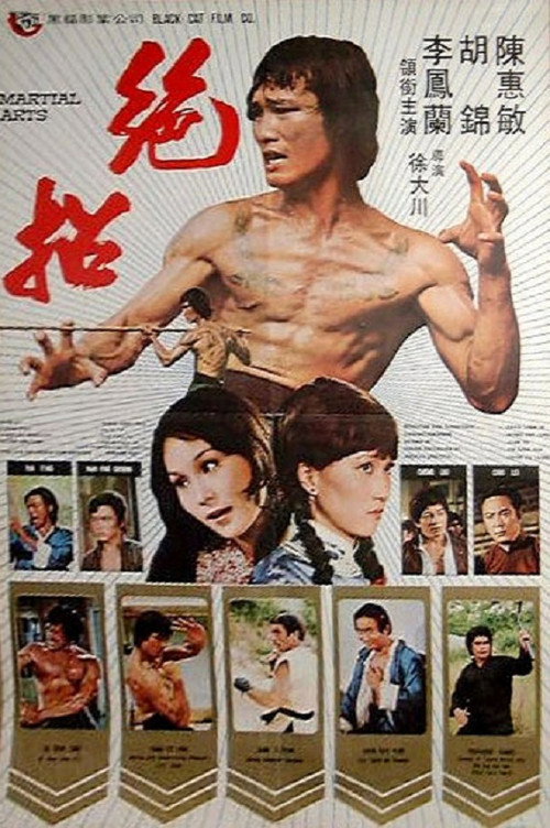 绝招 封面