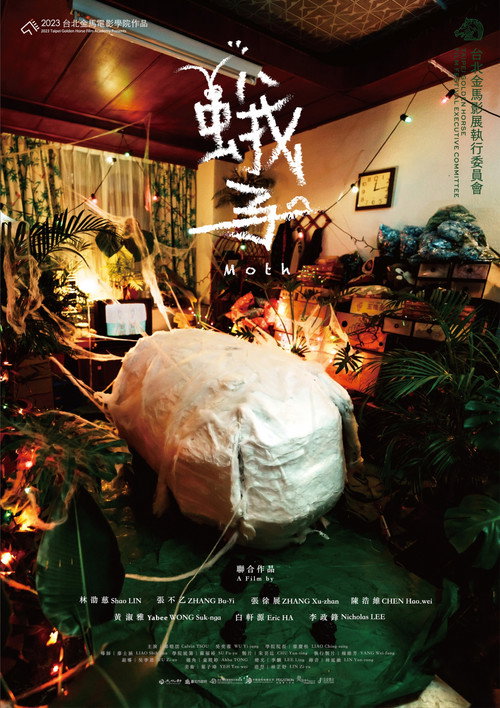 蛾子 封面