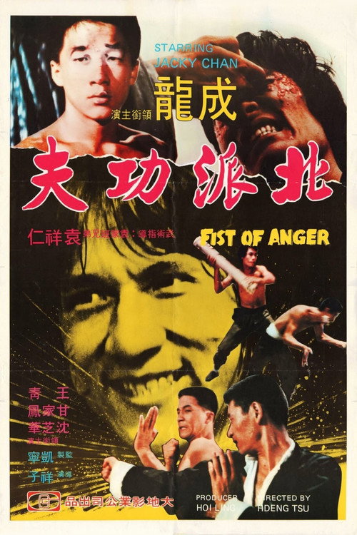 北派功夫 封面