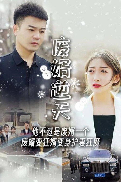 废婿逆天 封面
