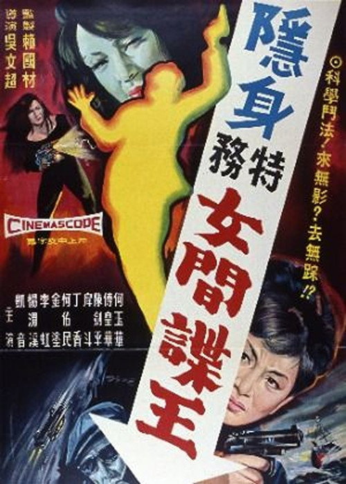 特務女間諜王 封面