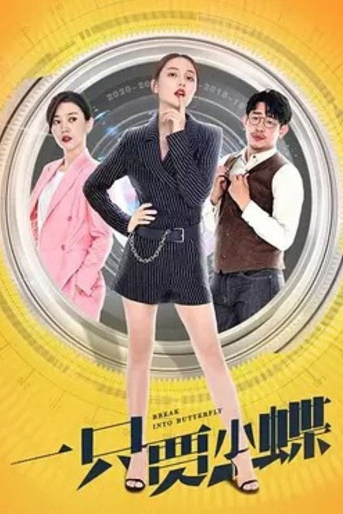 一只贾小蝶 封面