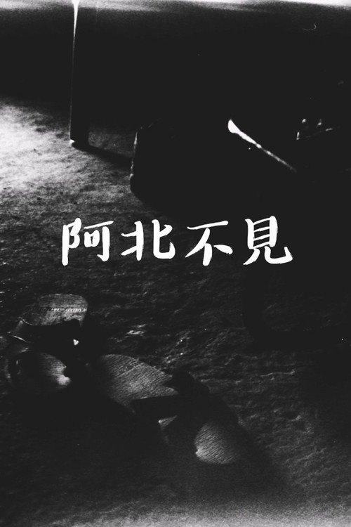 阿北不見 封面