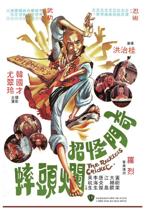 奇门怪招烂头蟀 封面