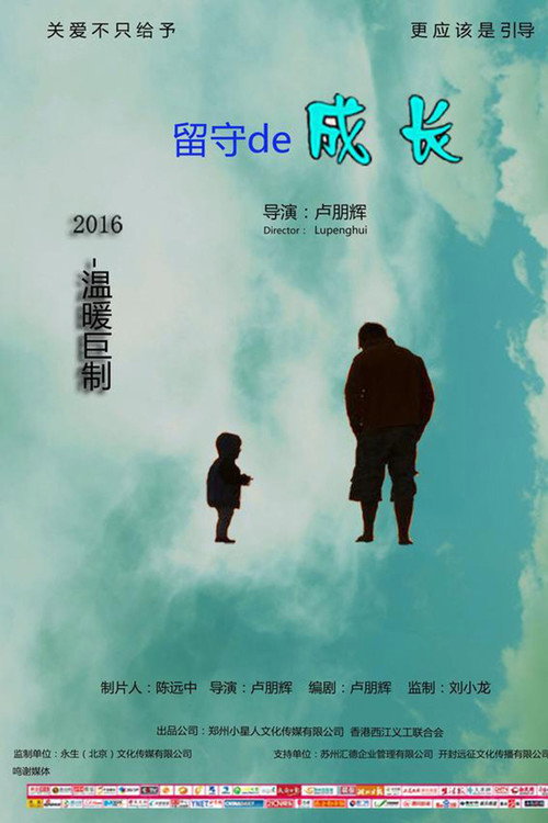 留守的成长 封面