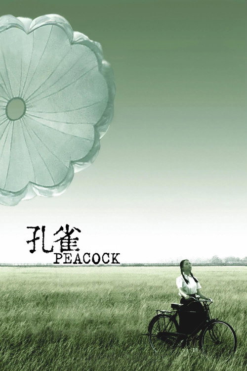 孔雀 封面