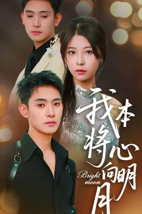 我本将心向明月 封面