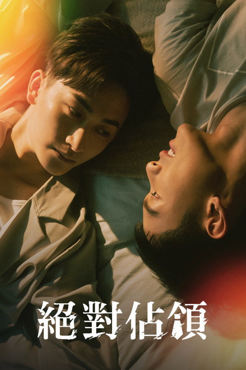 绝对占领 封面