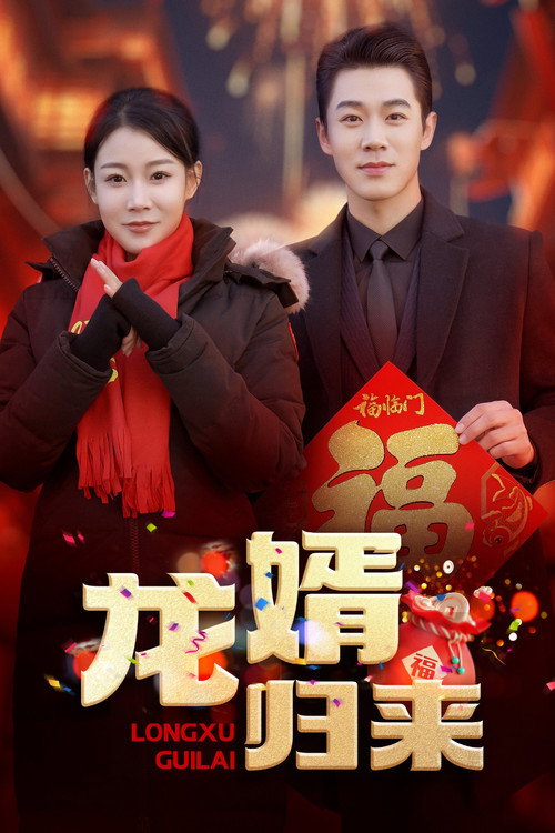 龙婿归来 封面