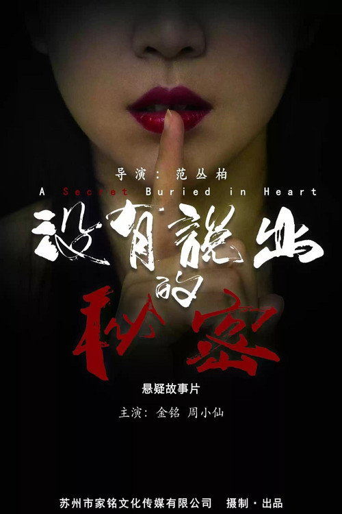 没有说出的秘密 封面