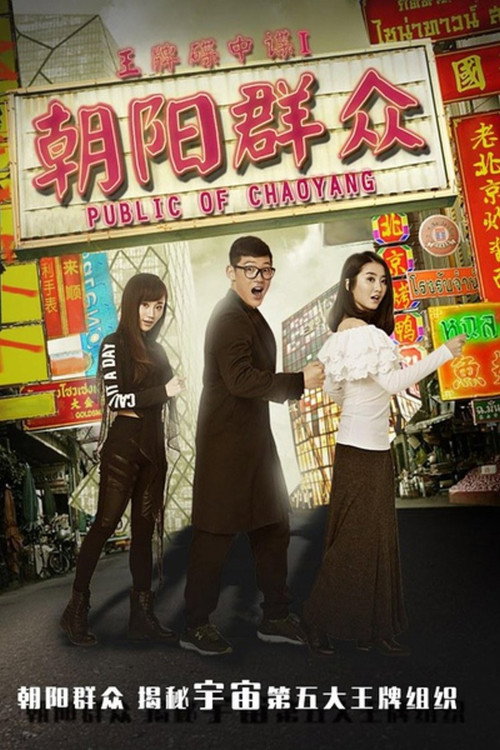 王牌碟中谍之朝阳群众 封面