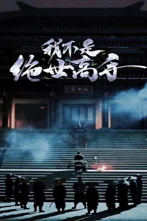 我不是绝世高手 封面