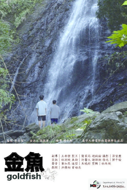 金魚 封面