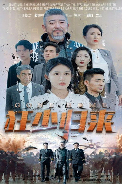狂少归来 封面