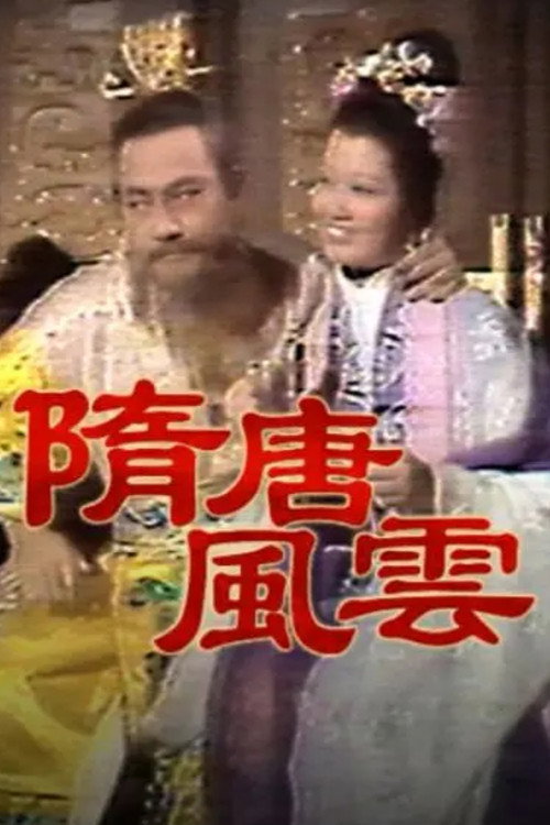 隋唐风云 封面