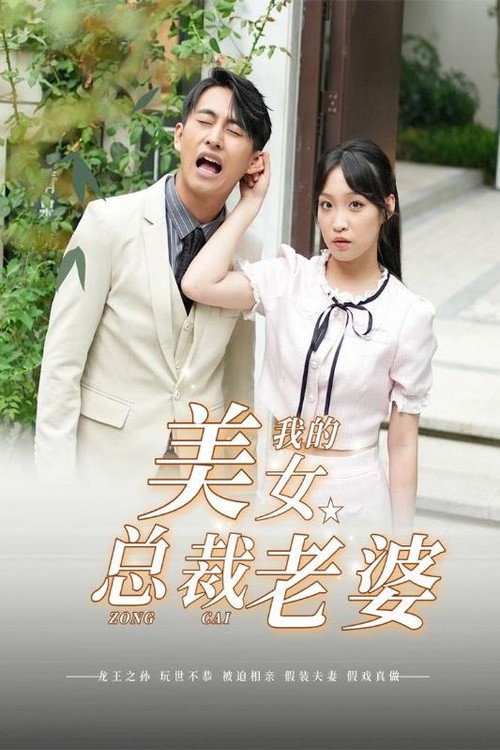 我的美女总裁老婆 封面