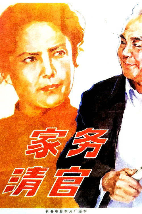 家务清官 封面