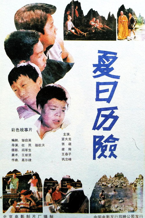 夏日历险 封面