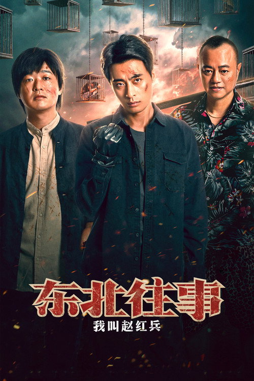 东北往事之我叫赵红兵 封面