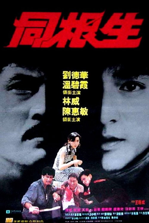 同根生 封面