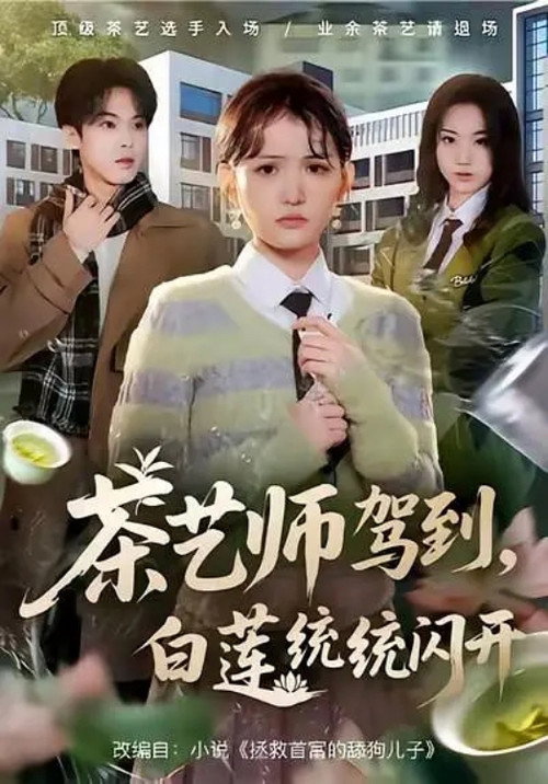 茶艺师驾到,白莲统统闪开 封面